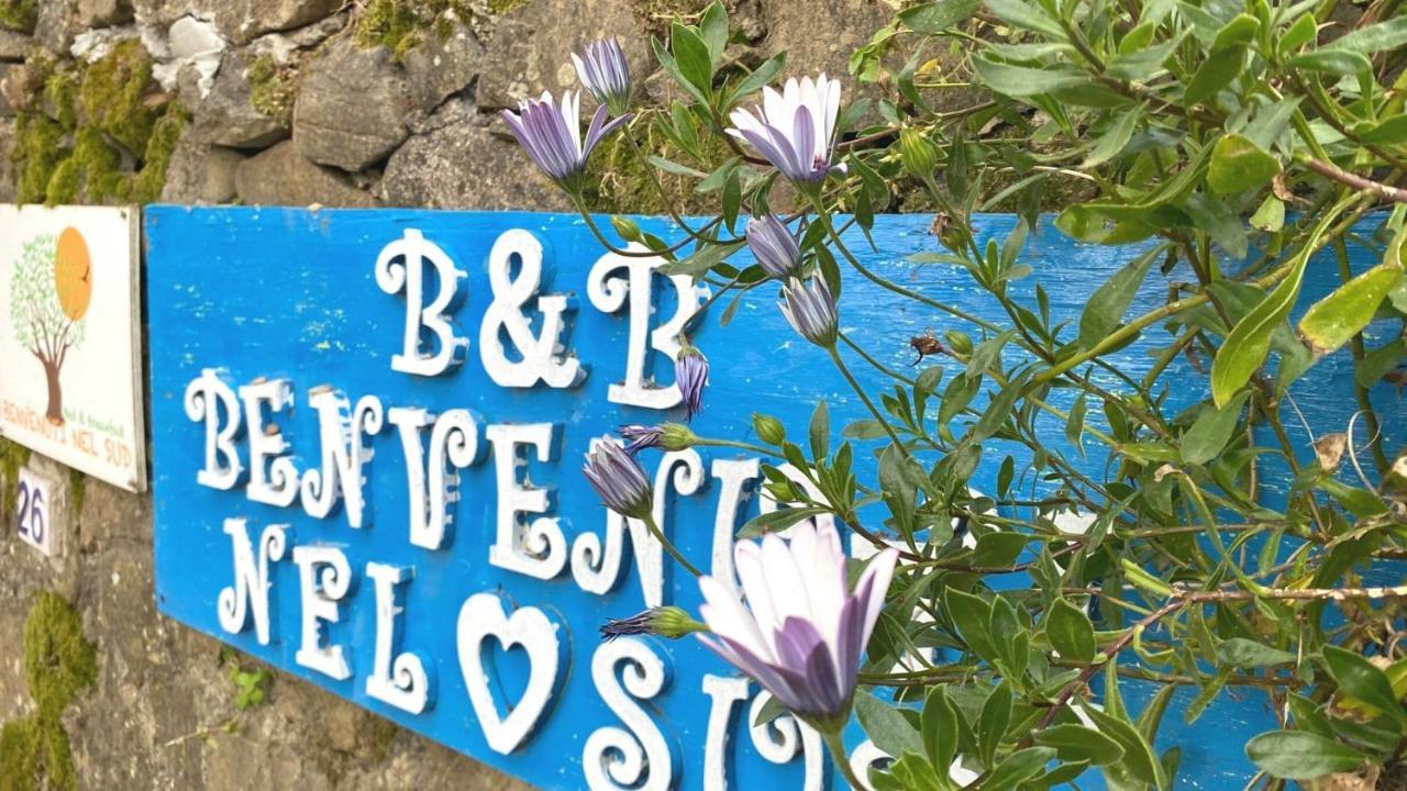 Benvenuti Nel Sud Bed & Breakfast Sessa Cilento Exterior foto