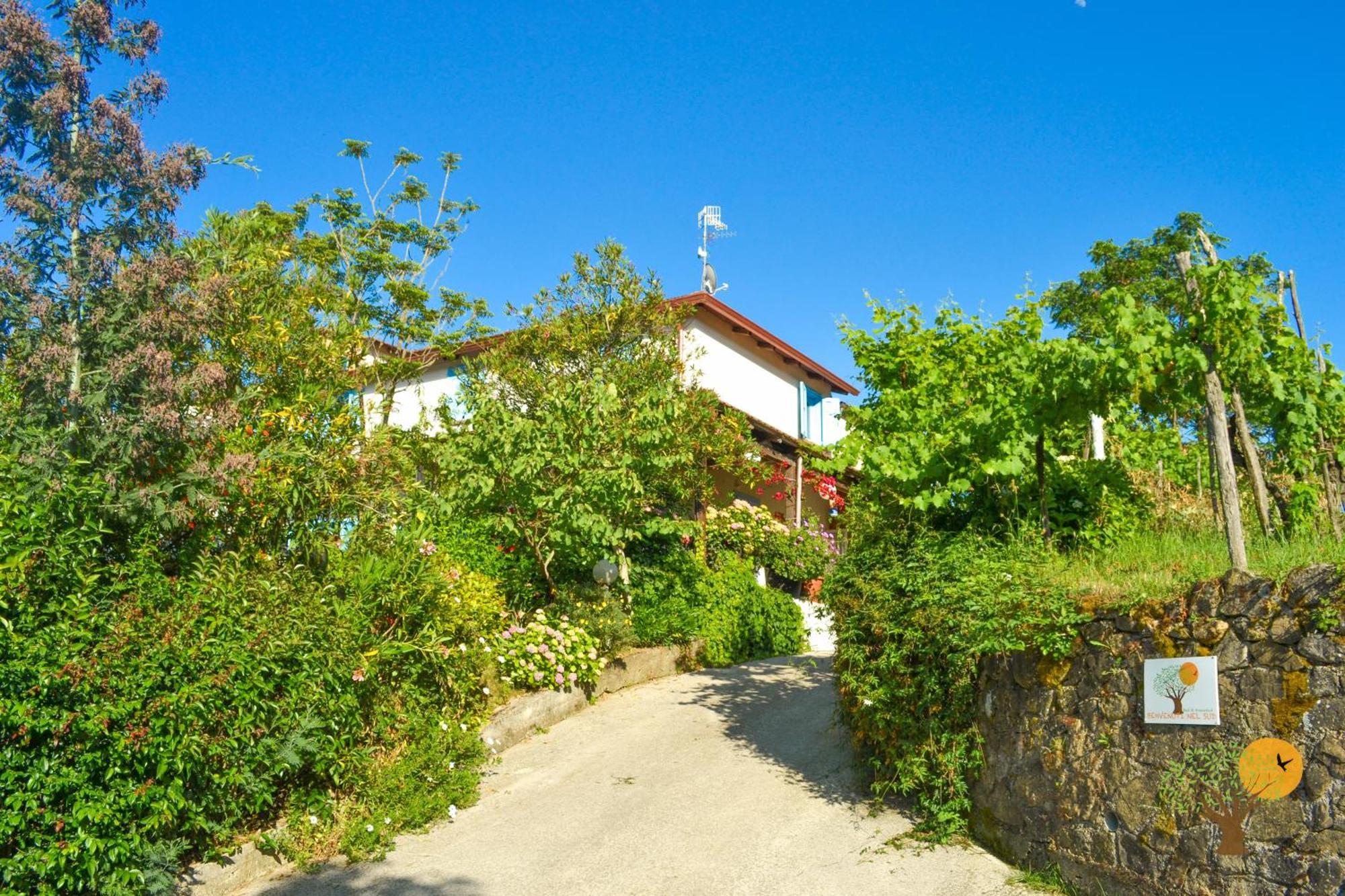 Benvenuti Nel Sud Bed & Breakfast Sessa Cilento Exterior foto