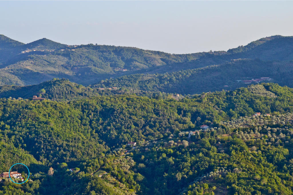Benvenuti Nel Sud Bed & Breakfast Sessa Cilento Exterior foto