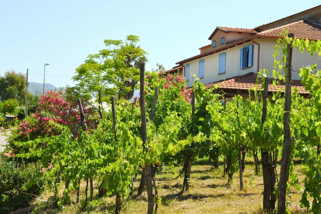 Benvenuti Nel Sud Bed & Breakfast Sessa Cilento Exterior foto