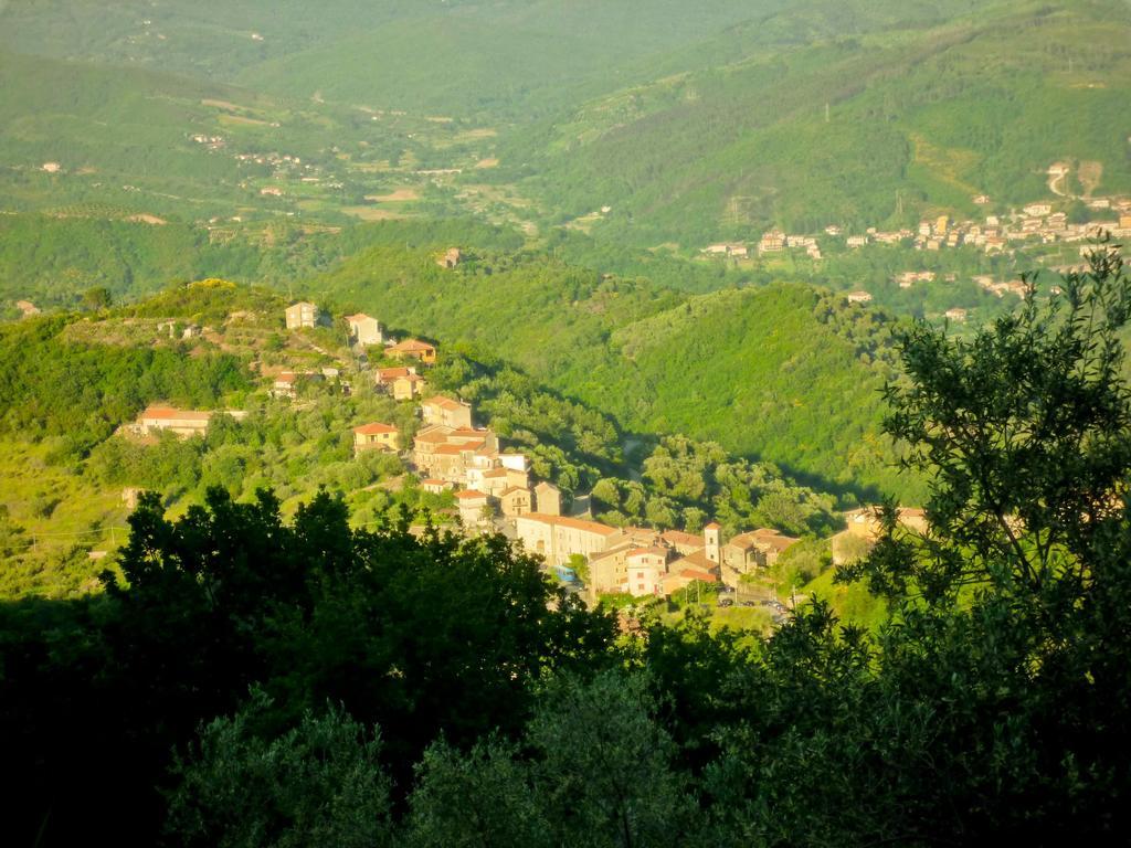 Benvenuti Nel Sud Bed & Breakfast Sessa Cilento Exterior foto