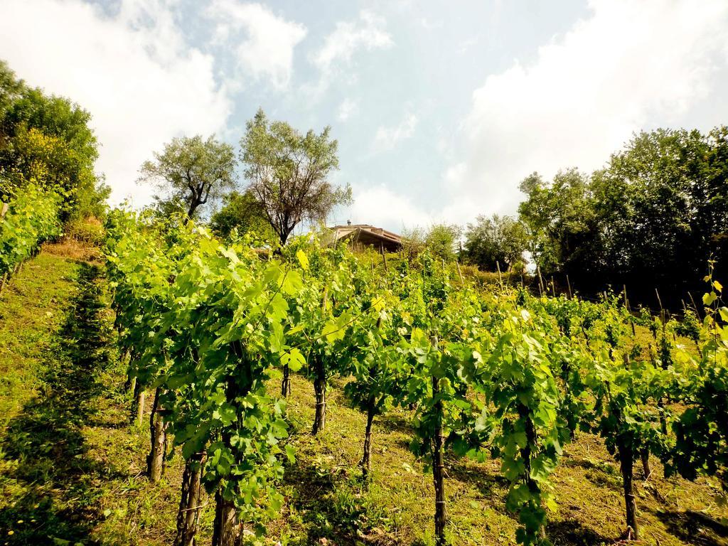Benvenuti Nel Sud Bed & Breakfast Sessa Cilento Exterior foto