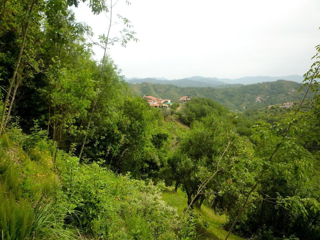 Benvenuti Nel Sud Bed & Breakfast Sessa Cilento Exterior foto
