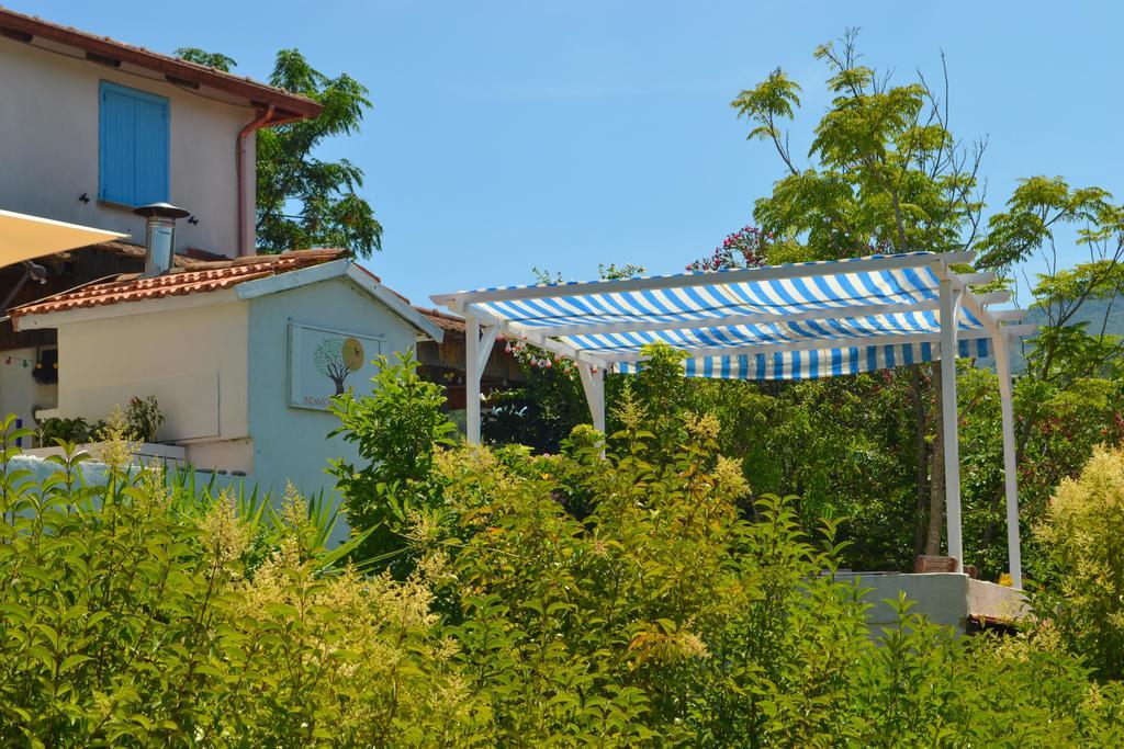 Benvenuti Nel Sud Bed & Breakfast Sessa Cilento Exterior foto