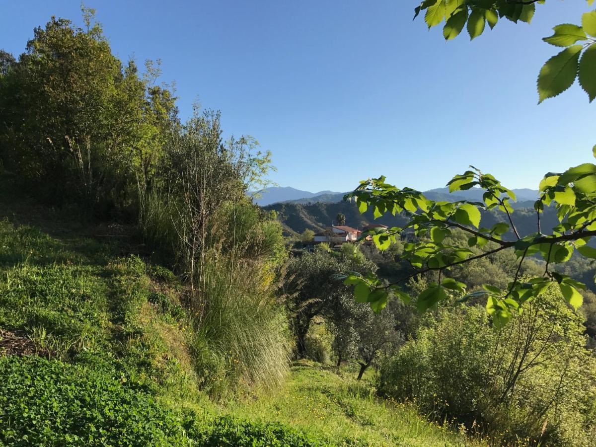 Benvenuti Nel Sud Bed & Breakfast Sessa Cilento Exterior foto