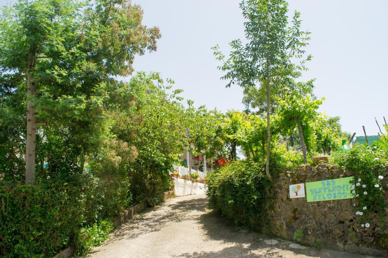 Benvenuti Nel Sud Bed & Breakfast Sessa Cilento Exterior foto